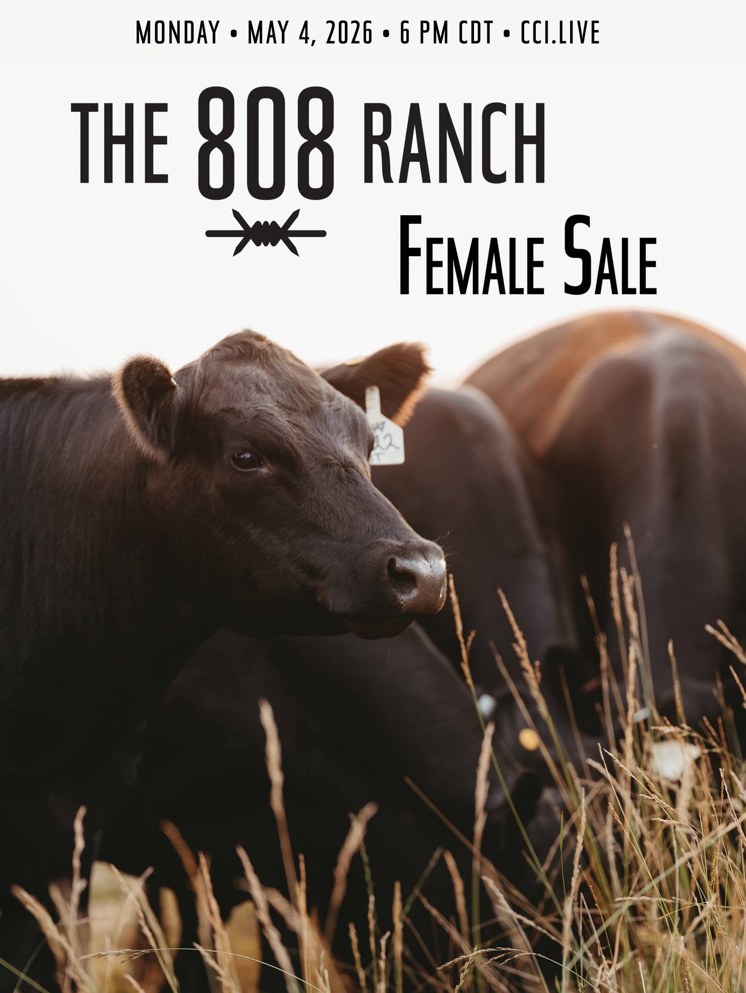 The 808 Ranch Spring Sale 2026